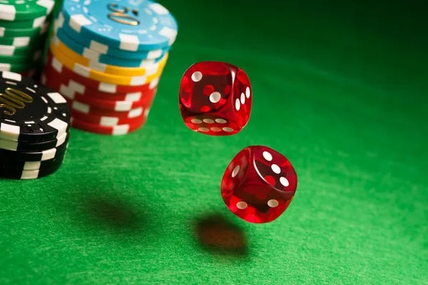 toto8000 login What's Inside Our Live Casino